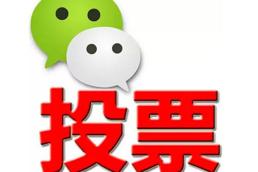 大理白族自治州微信投票功能开发 上传图片投票